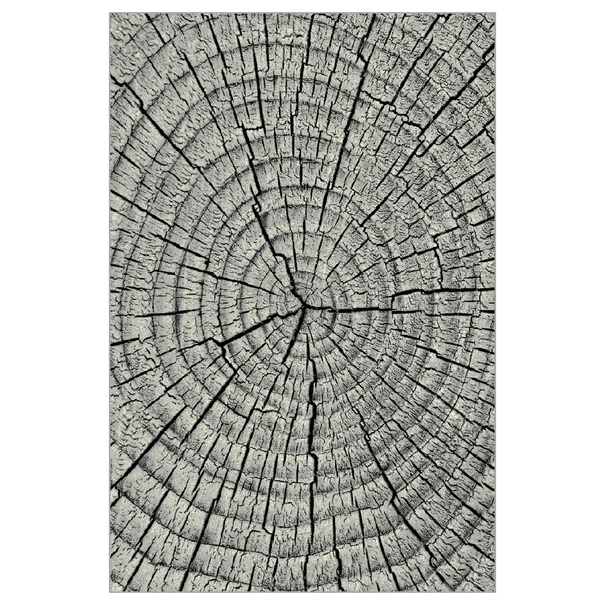 Koberec KOLIBRI 4 sivé drevo, 80x150 cm 1