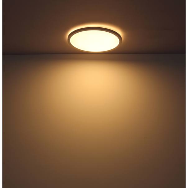Stropní LED svítidlo SAPANA 1 bílá/opál 10