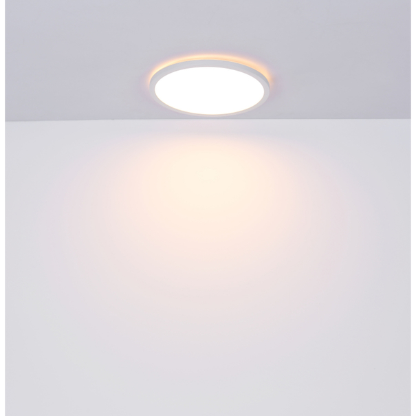 Stropní LED svítidlo SAPANA 1 bílá/opál 11