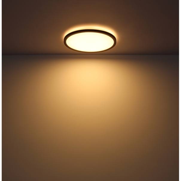 Stropní LED svítidlo SAPANA 1 černá/opál 9
