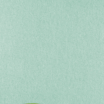 Jersey prostěradlo KAMILKA 052 světle zelená, 180x200 cm 2