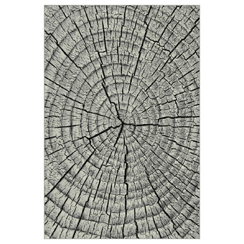 Koberec KOLIBRI 4 sivé drevo, 80x150 cm 1