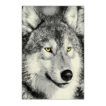 Koberec KOLIBRI 5 vlk sivý, 120x170 cm 1