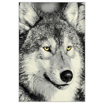 Koberec KOLIBRI 5 vlk sivý, 133x190 cm 1
